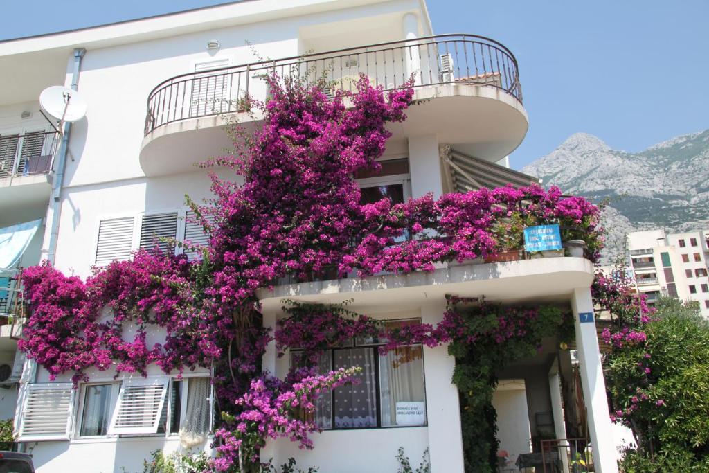 Apartment Milena & Ante